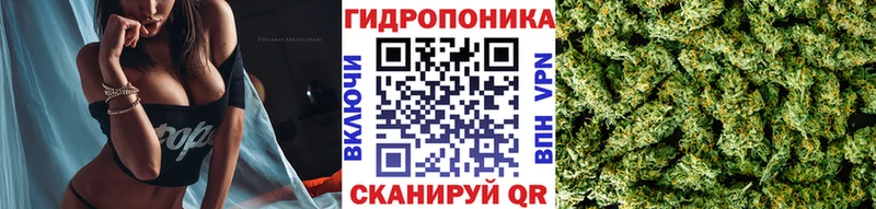 Марихуана Bruce Banner  Туран 
